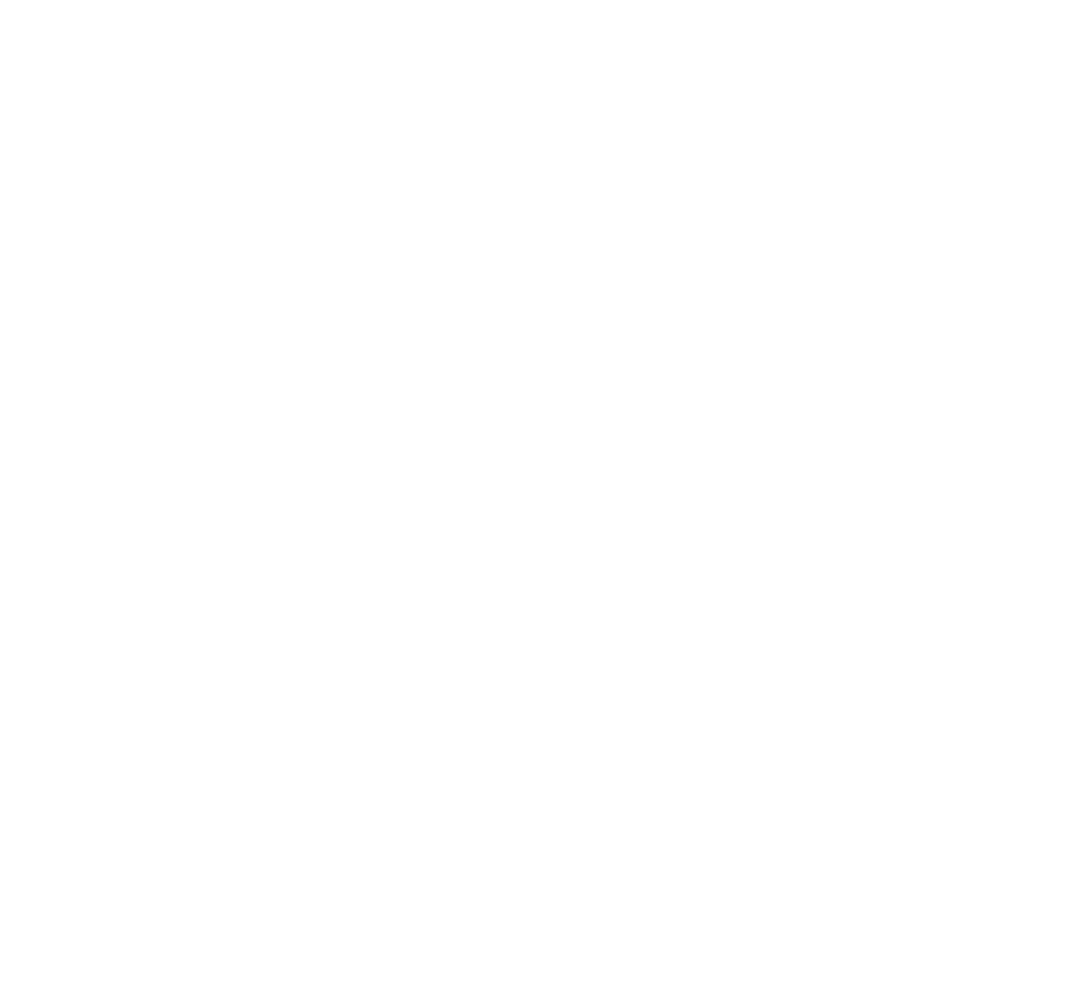 CityPark Logo Primary CMYK White